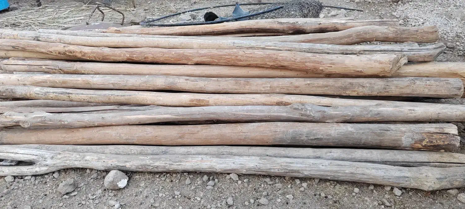 چوب سقفی|مصالح و تجهیزات ساختمان|میمند, |دیوار