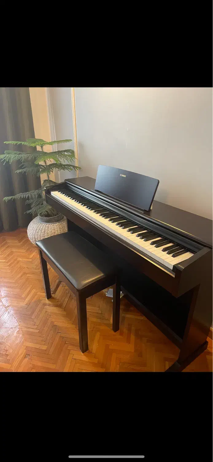 YDP145|پیانو، کیبورد، آکاردئون|مشهد, امام خمینی|دیوار