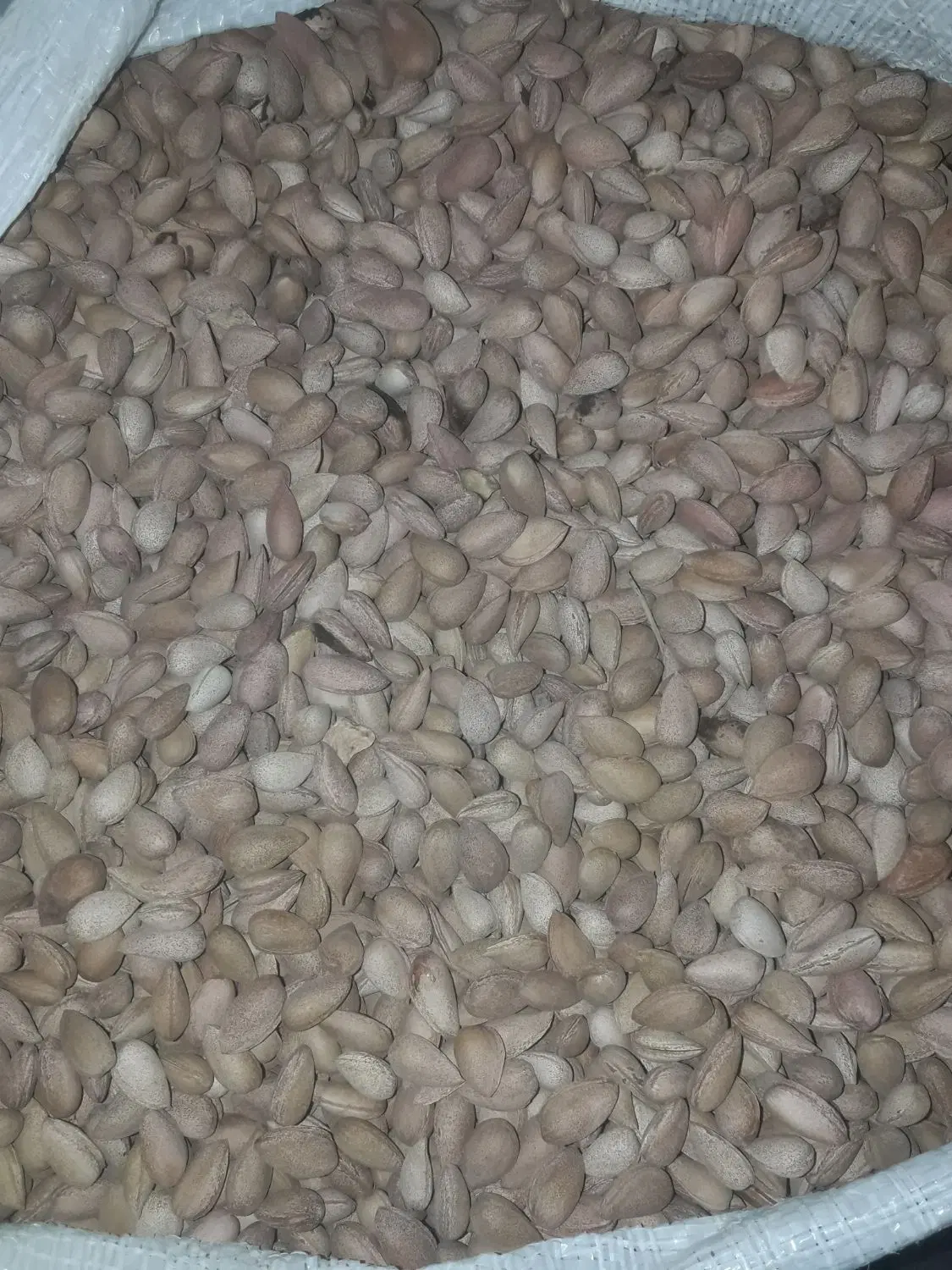 بادام|خوردنی و آشامیدنی|لیکک, |دیوار