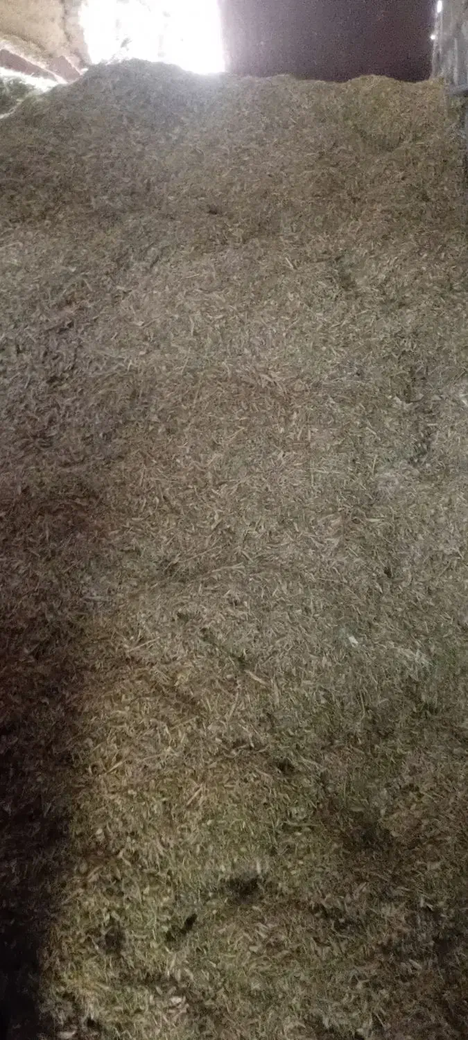 کاه لوبیا|لوازم جانبی حیوانات|قروه, |دیوار