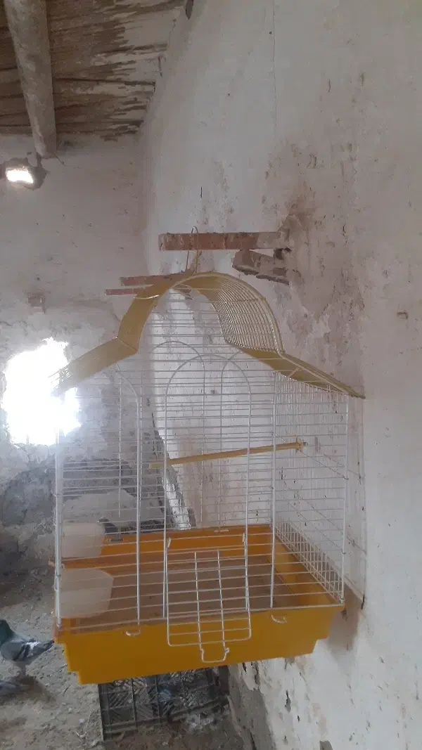 مجسمه|مجسمه، تندیس، ماکت|زابل, |دیوار