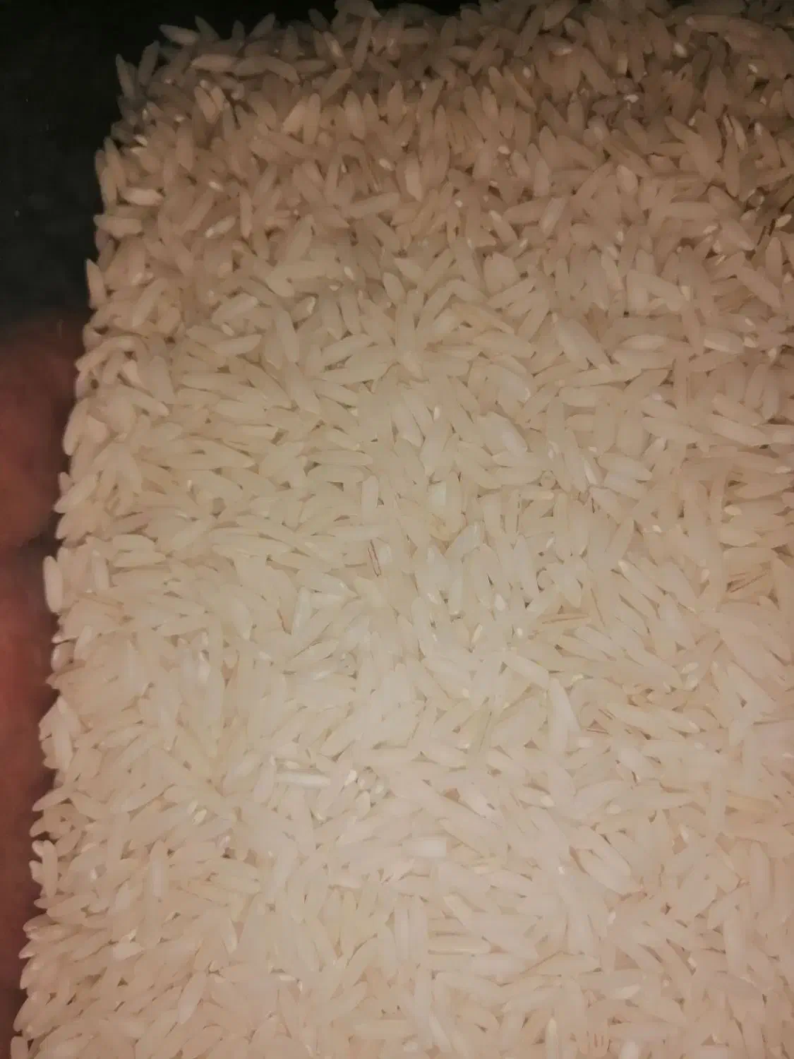 برنج هاشمی اصیل استان گیلان|خوردنی و آشامیدنی|یزد, |دیوار