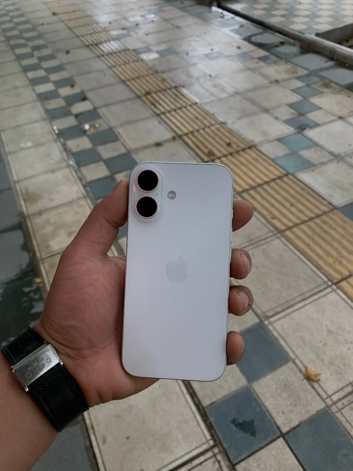 iPhone 16 نرمال|موبایل|بجنورد, |دیوار