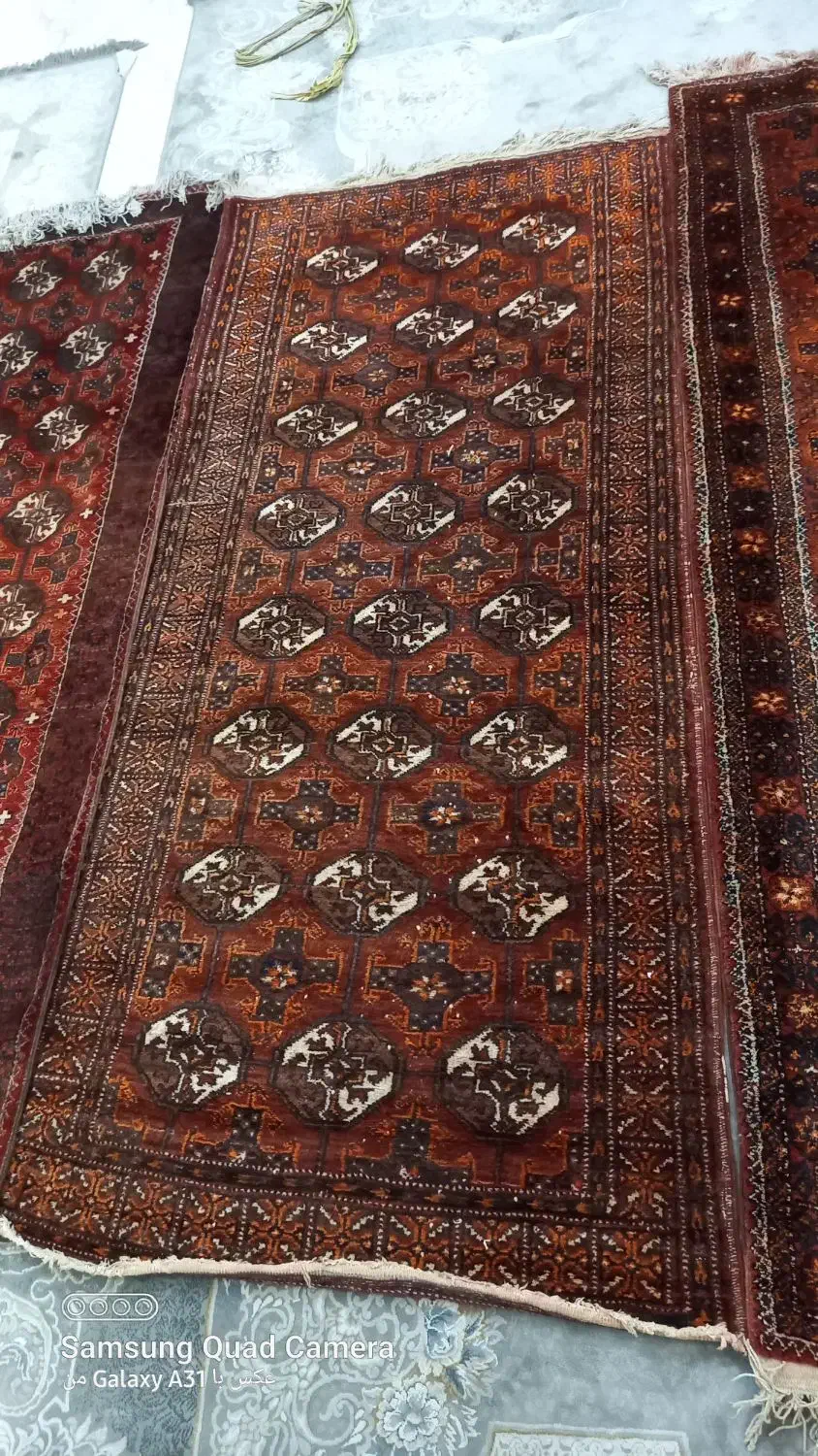 فرش قدیمی|فرش|تهران, مسعودیه|دیوار