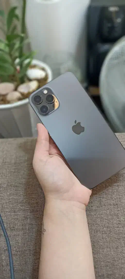 ایفون ۱۲ پرومکس|موبایل|بندر گناوه, |دیوار