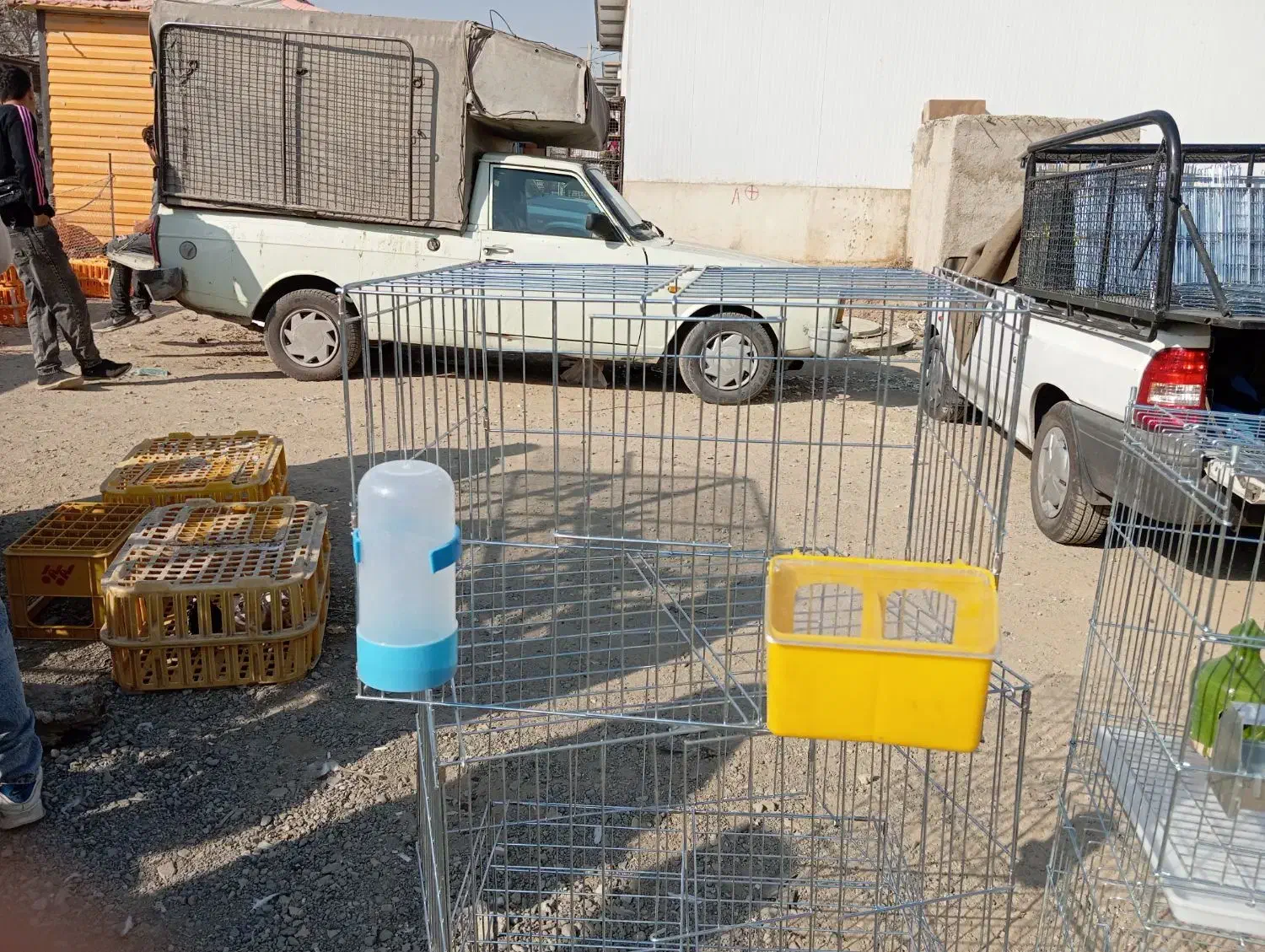 جفت کن کبوتری ۶۰ در ۵۰ قیمت عمده ۲۵۰ مقطوع|لوازم جانبی حیوانات|نسیمشهر, |دیوار