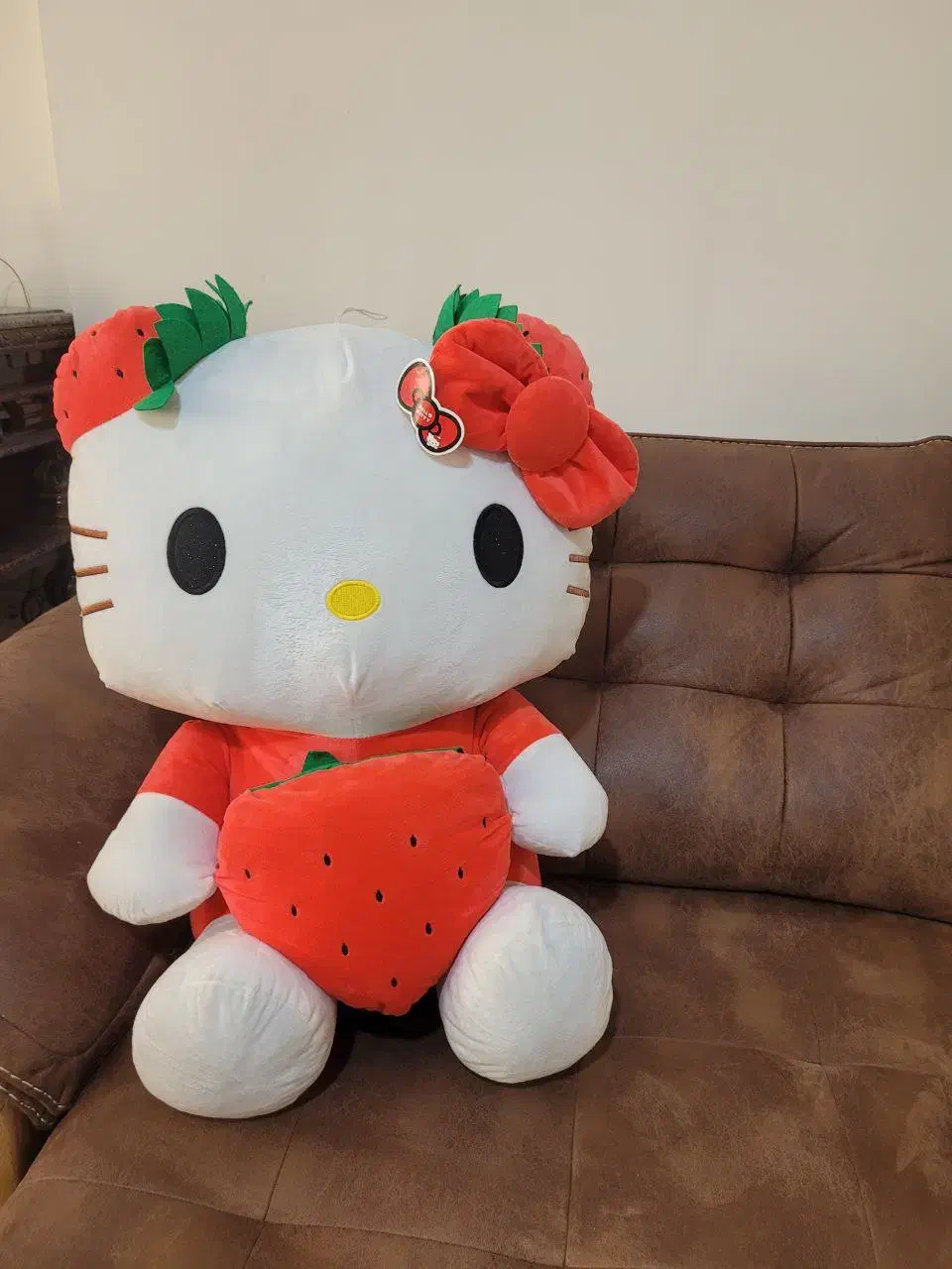 عروسک خرس تدی و کیتی بزرگ|اسباببازی بچه|مشهد, سرافرازان|دیوار