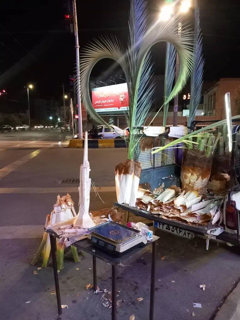 قطع نخل ودرخت درباغ ومنزل|خدمات باغبانی و درختکاری|جهرم, |دیوار