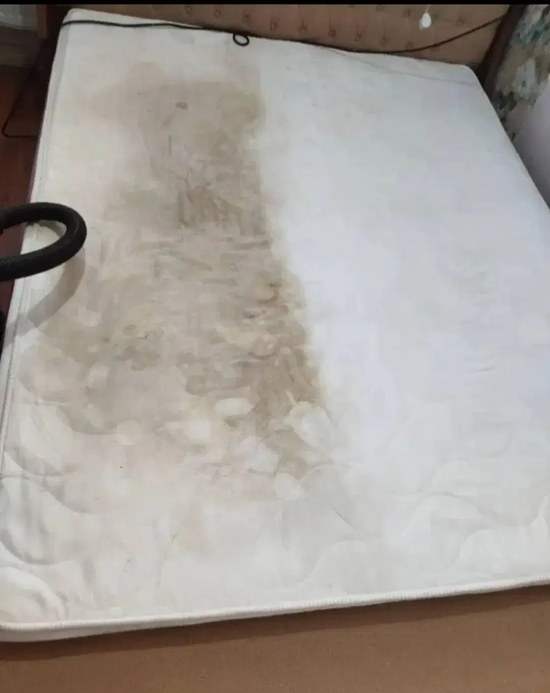 مبل شویی.  قالیشویی.در منزل مبل شویی آرمین|خدمات نظافت|اهواز, پردیس|دیوار