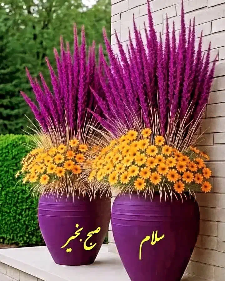 گمشده|اشیا|دهدشت, |دیوار