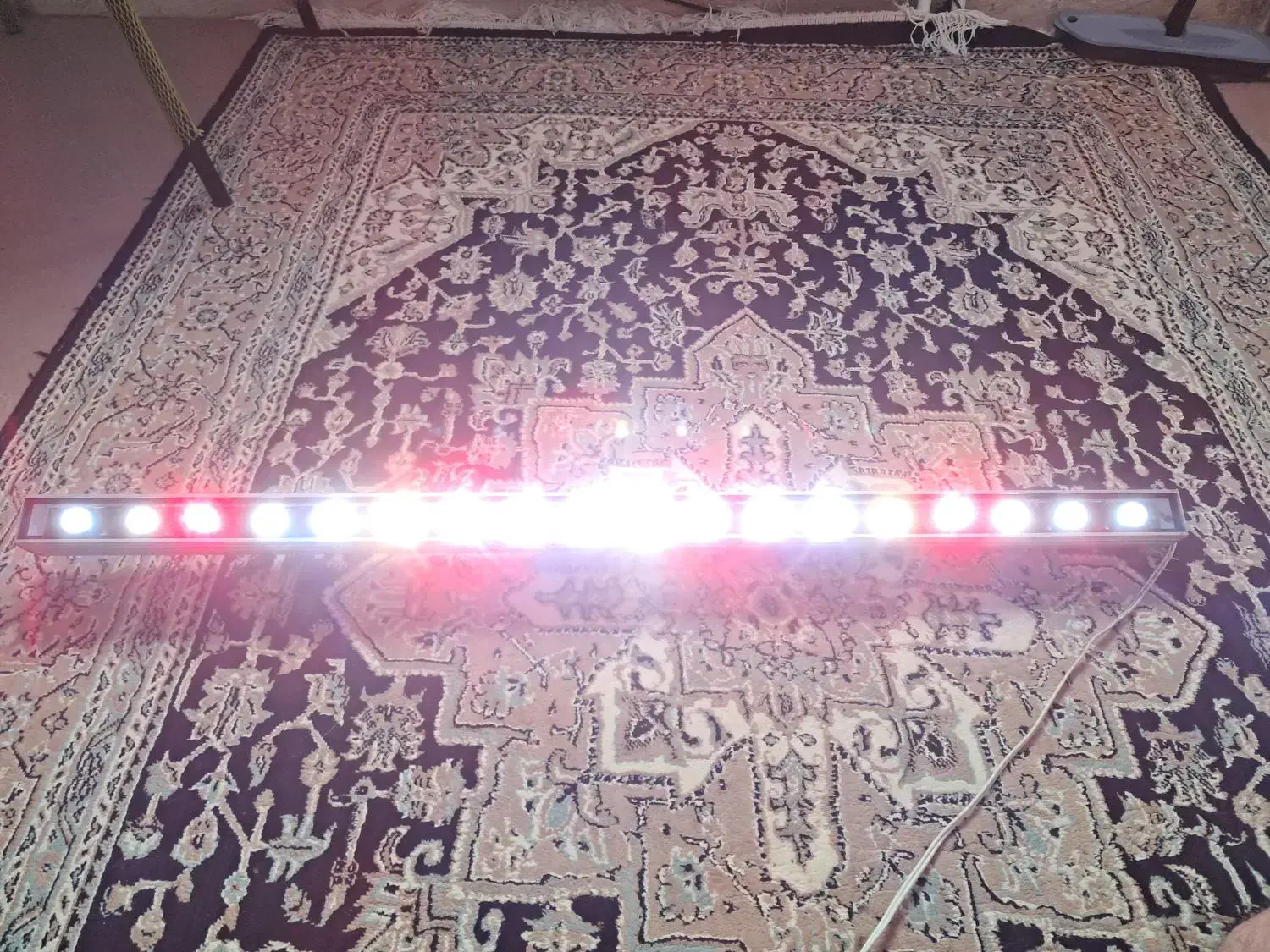 لامپ رشد گیاهان آکواریم|ماهی|رشت, کوی مهر|دیوار