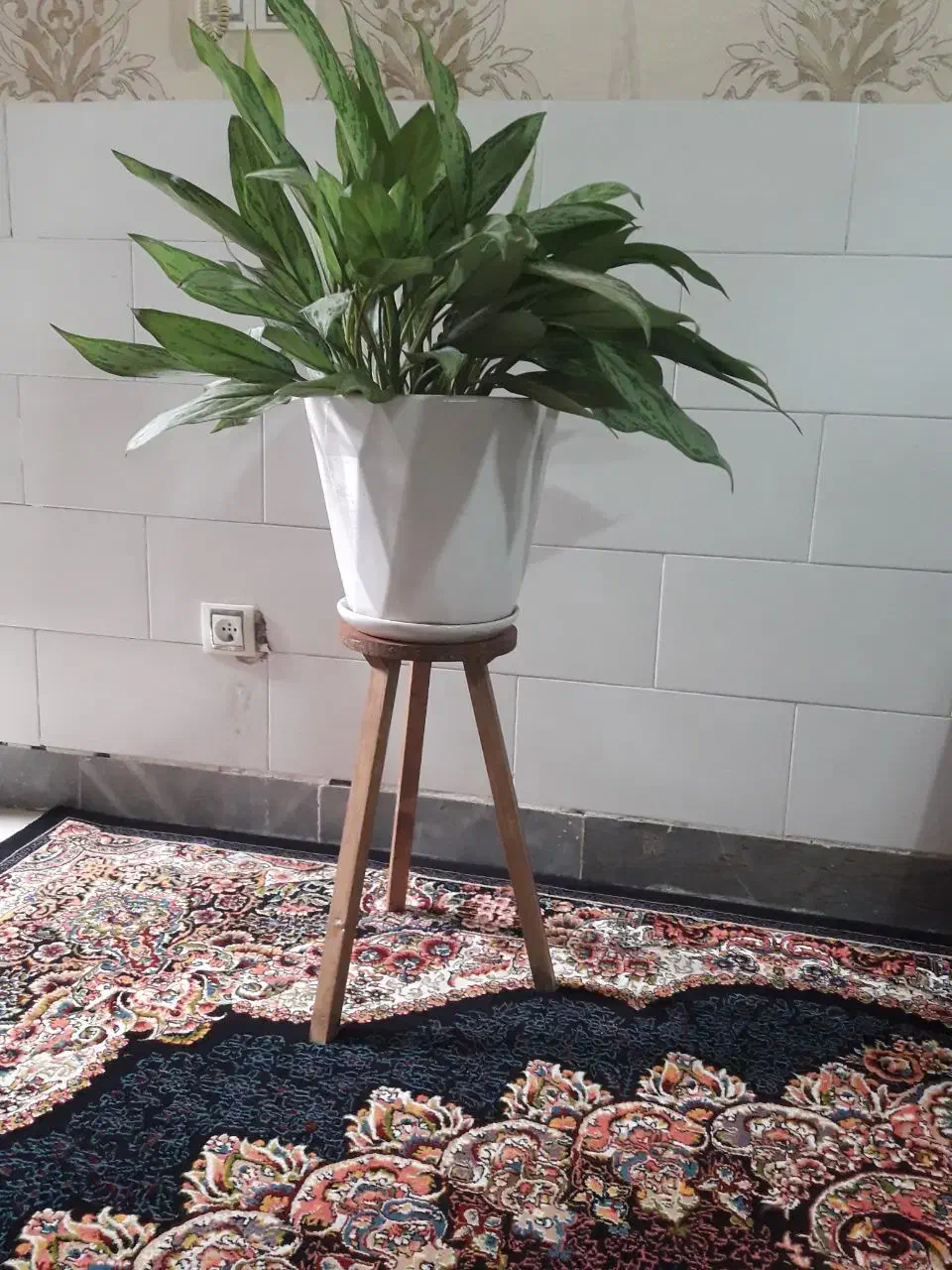 استند|صنایع دستی و سایر لوازم تزئینی|قم, بنیاد|دیوار