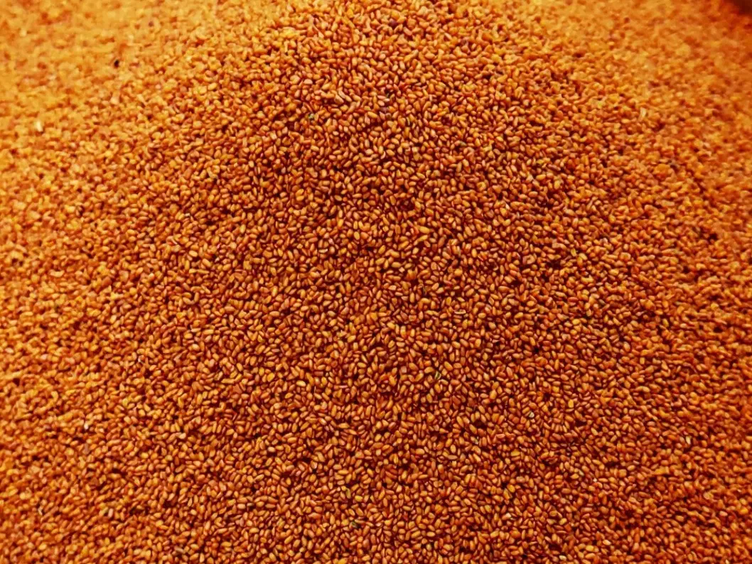 خاکشیر|خوردنی و آشامیدنی|مرودشت, فاز دوم شهرک فرهنگیان|دیوار