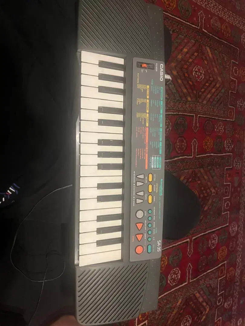 ارگ casio|پیانو، کیبورد، آکاردئون|تهران, عباس‌آباد|دیوار