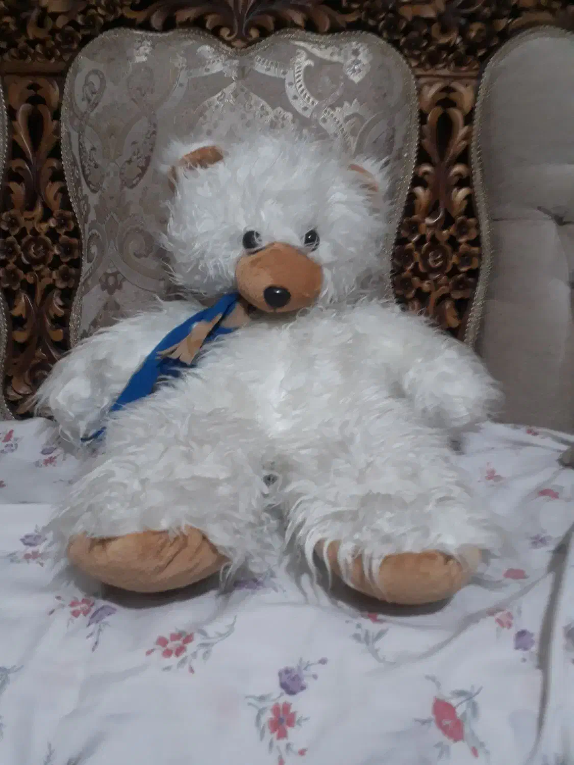 عروسک|اسباب‌‌بازی|فردیس, داوری|دیوار