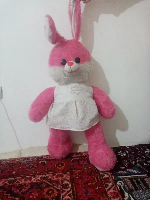 عروسک خرگوش وخرس|اسباب‌‌بازی|سهند, |دیوار