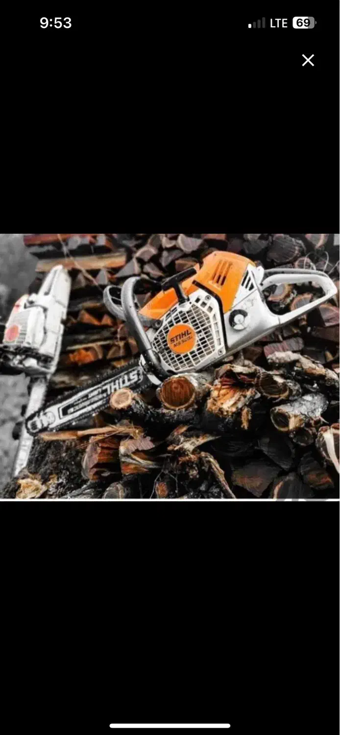 نخل|خدمات باغبانی و درختکاری|جهرم, |دیوار