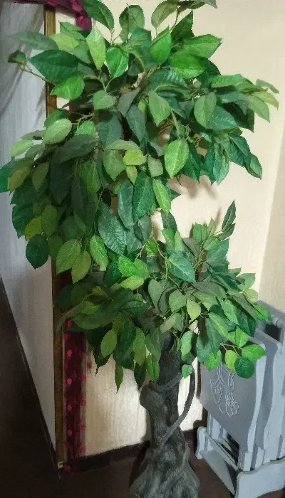 گلدان سالم|گل مصنوعی|فولادشهر, B7|دیوار