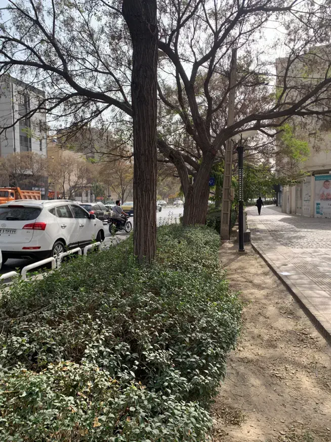 ۱۵۰متر مغازه / تجاری / داروخانه/ حاشیه کلاهدوز|فروش مغازه و غرفه|مشهد, سناباد|دیوار