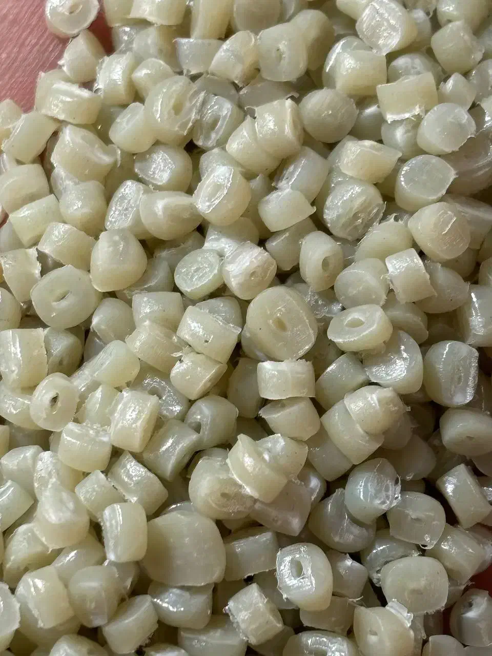 گرانول|عمده‌فروشی|پیر بکران, |دیوار