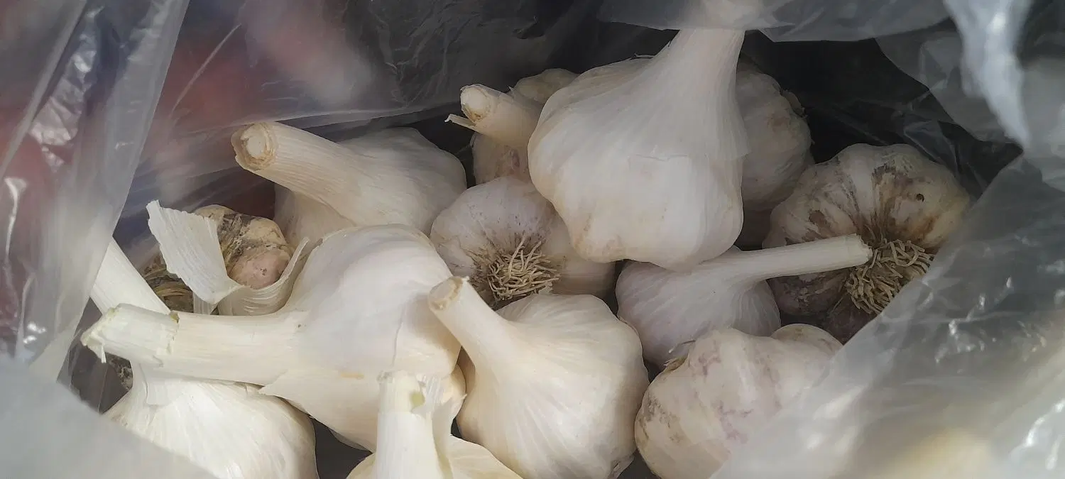 سیر|خوردنی و آشامیدنی|زرقان, |دیوار