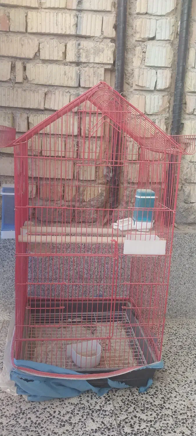 قفس پرندگان|لوازم جانبی حیوانات|مرودشت, فاز اول شهرک فرهنگیان|دیوار