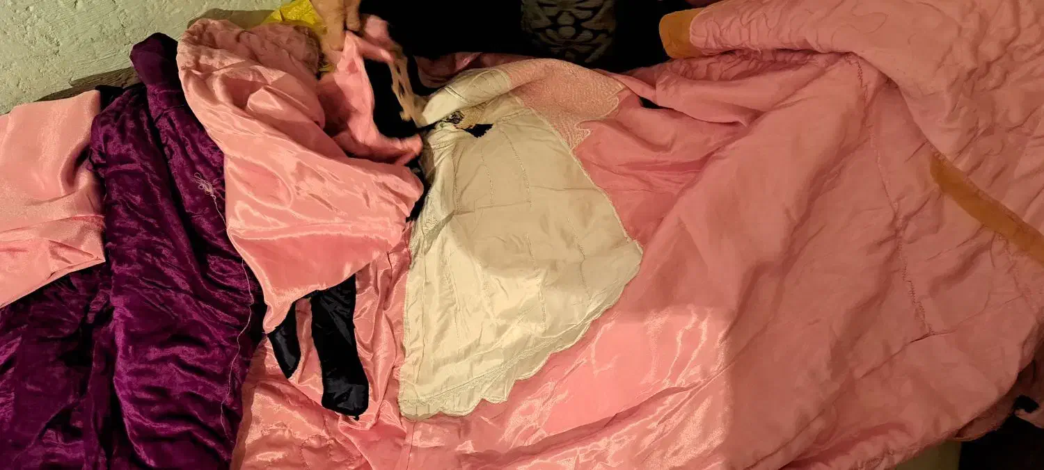 وسایل قدیمی|کلکسیون اشیاء عتیقه|اردبیل, |دیوار