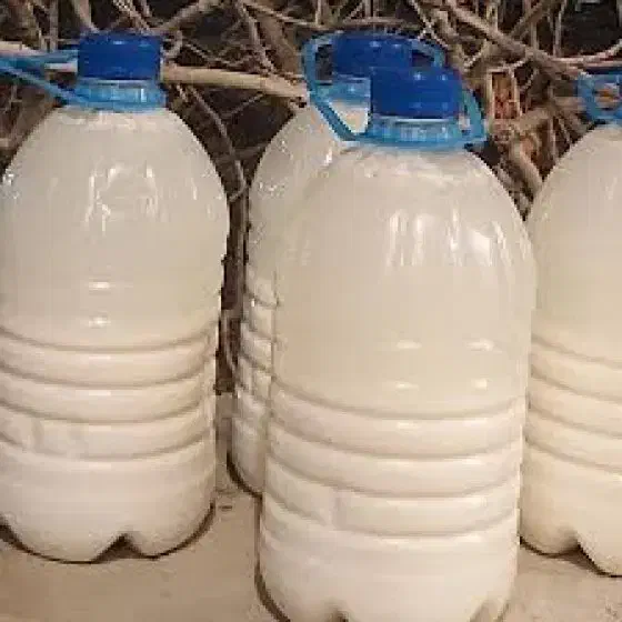 دوغ|خوردنی و آشامیدنی|اسلام آباد, |دیوار