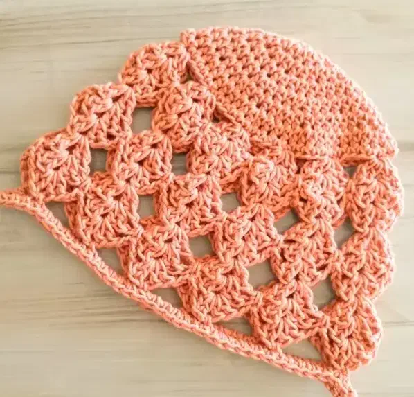 توری کلاه|کیف، کفش، کمربند|اصفهان, دارک|دیوار