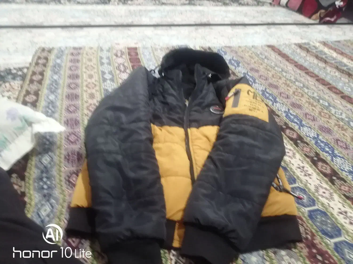 کاپشن مردانه|لباس|داراب, |دیوار