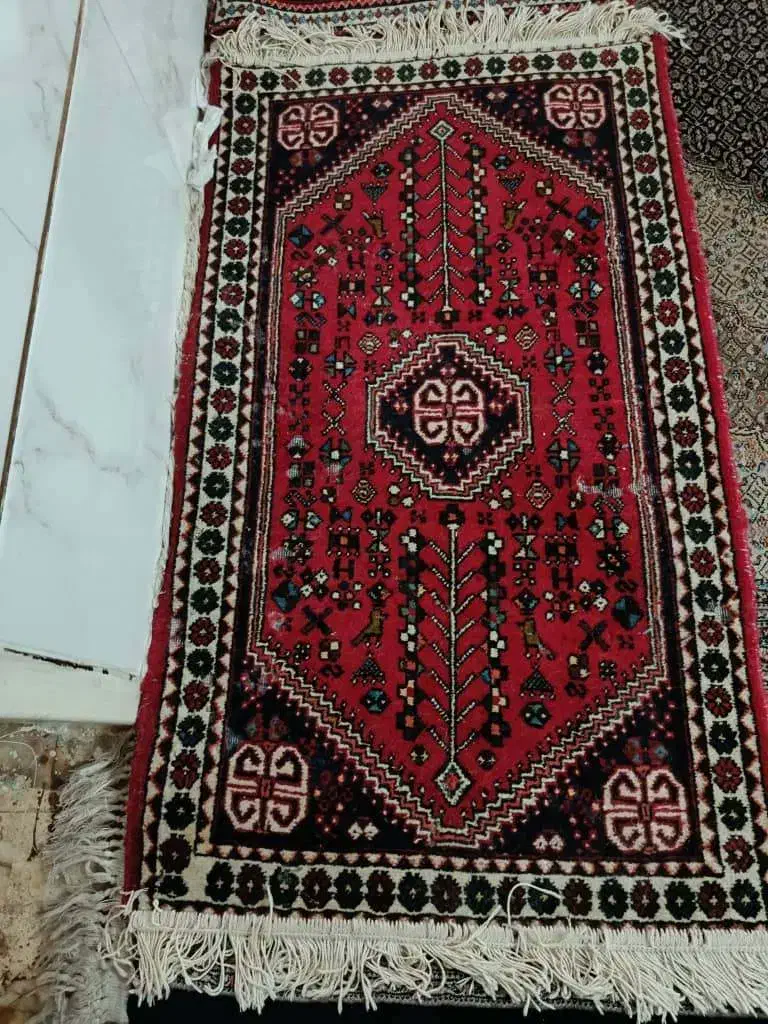 قالیچه دست باف|فرش|شیراز, تندگویان|دیوار