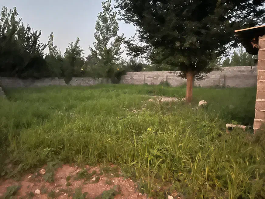 زمین ۹۵۸ متری نسقی|فروش زمین و ملک کلنگی|رشت, لاکان شهر|دیوار