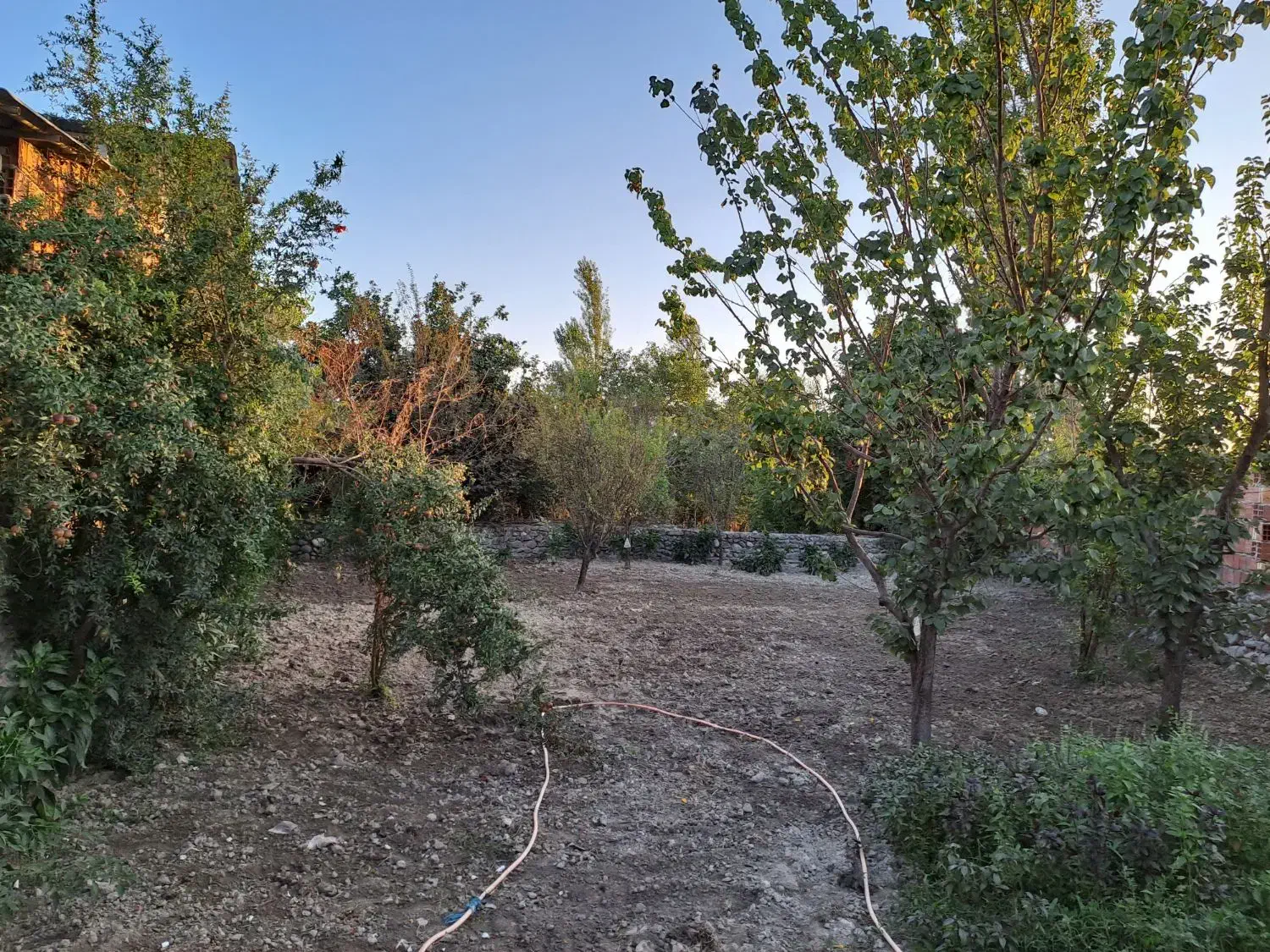 زمین خانه سری|فروش زمین و ملک کلنگی|نوکنده, |دیوار