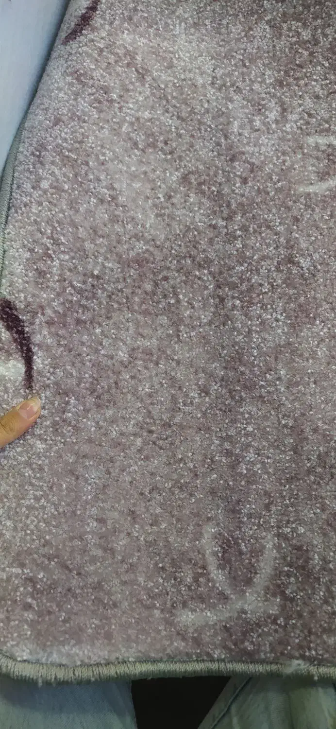 هراز طوسی|موکت|یاسوج, |دیوار