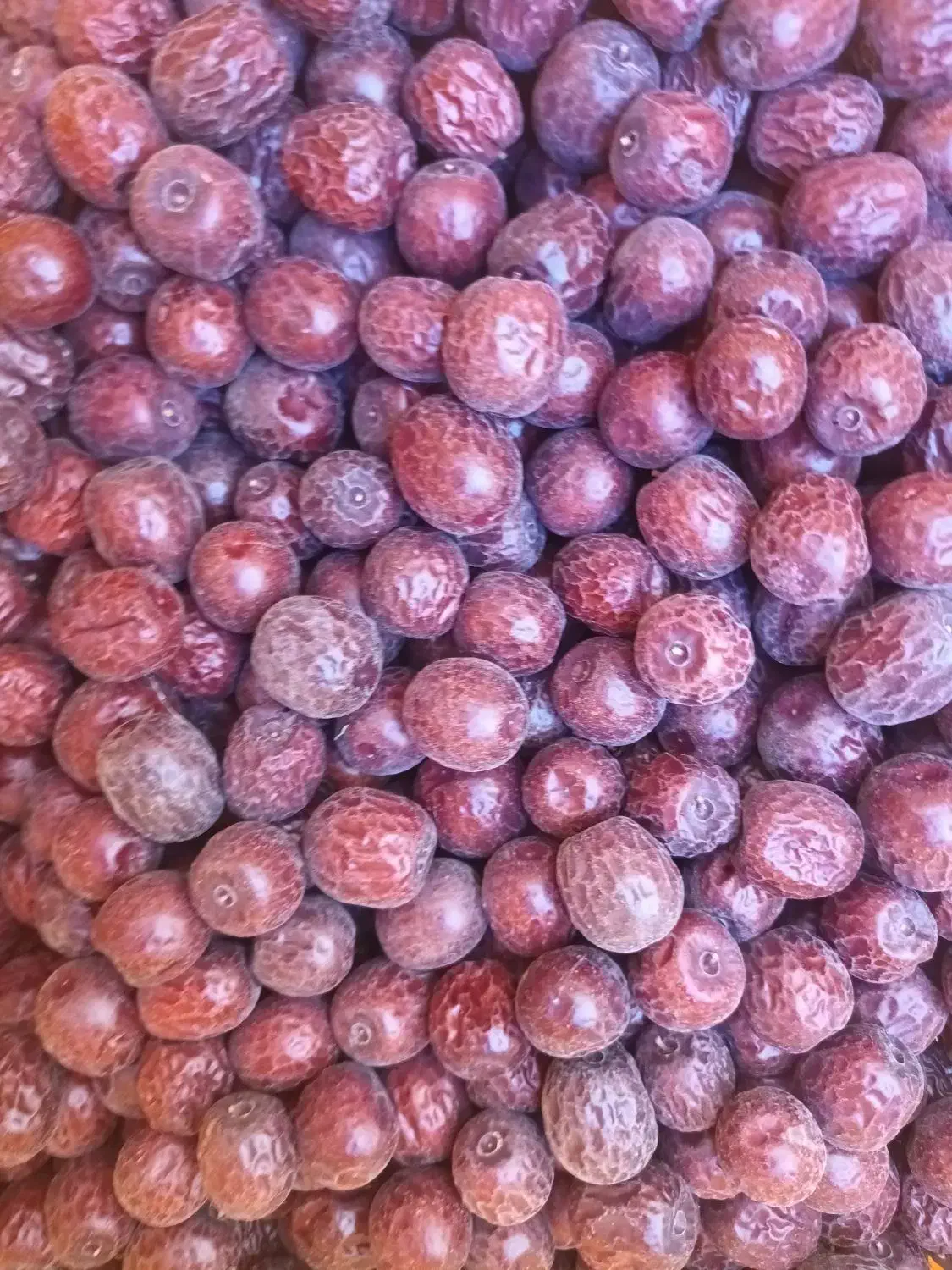 عناب درشت|خوردنی و آشامیدنی|تهران, مختاری|دیوار