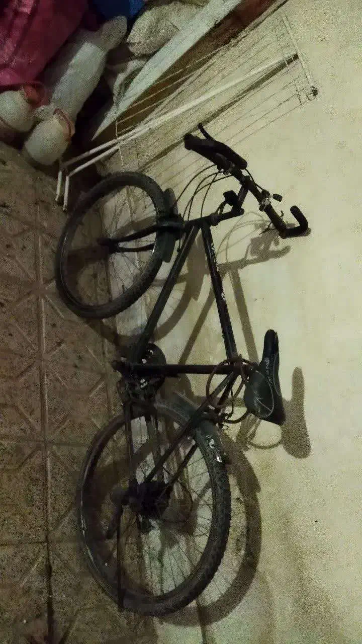 دوچرخه دماوند|دوچرخه، اسکیت، اسکوتر|مشهد, شهرک ابوذر|دیوار