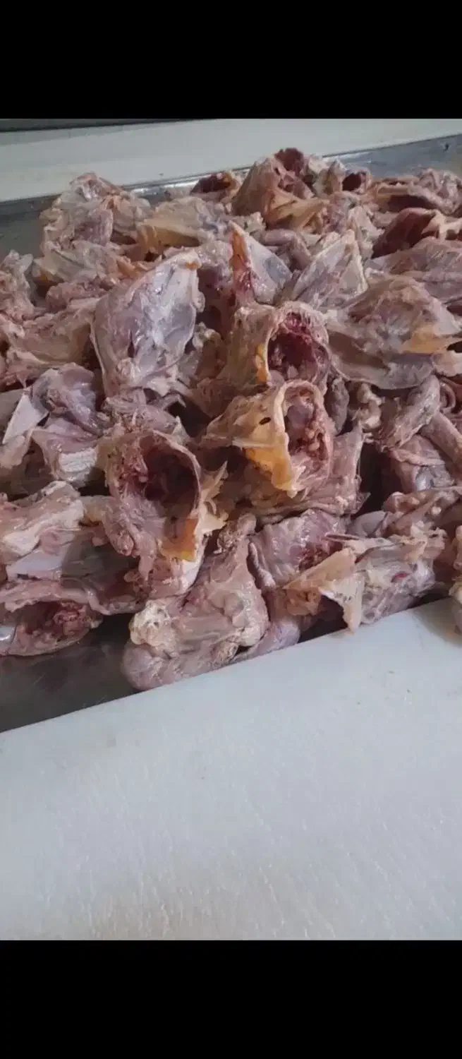 اسکلت مرغ تازه و منجمد برای سگ و پناهگاه|لوازم جانبی حیوانات|صفادشت, |دیوار