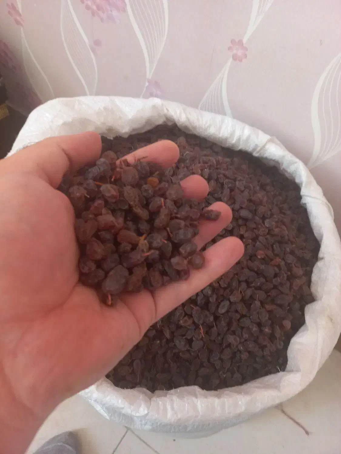 کشمش آفتابی|خوردنی و آشامیدنی|قزوین, |دیوار