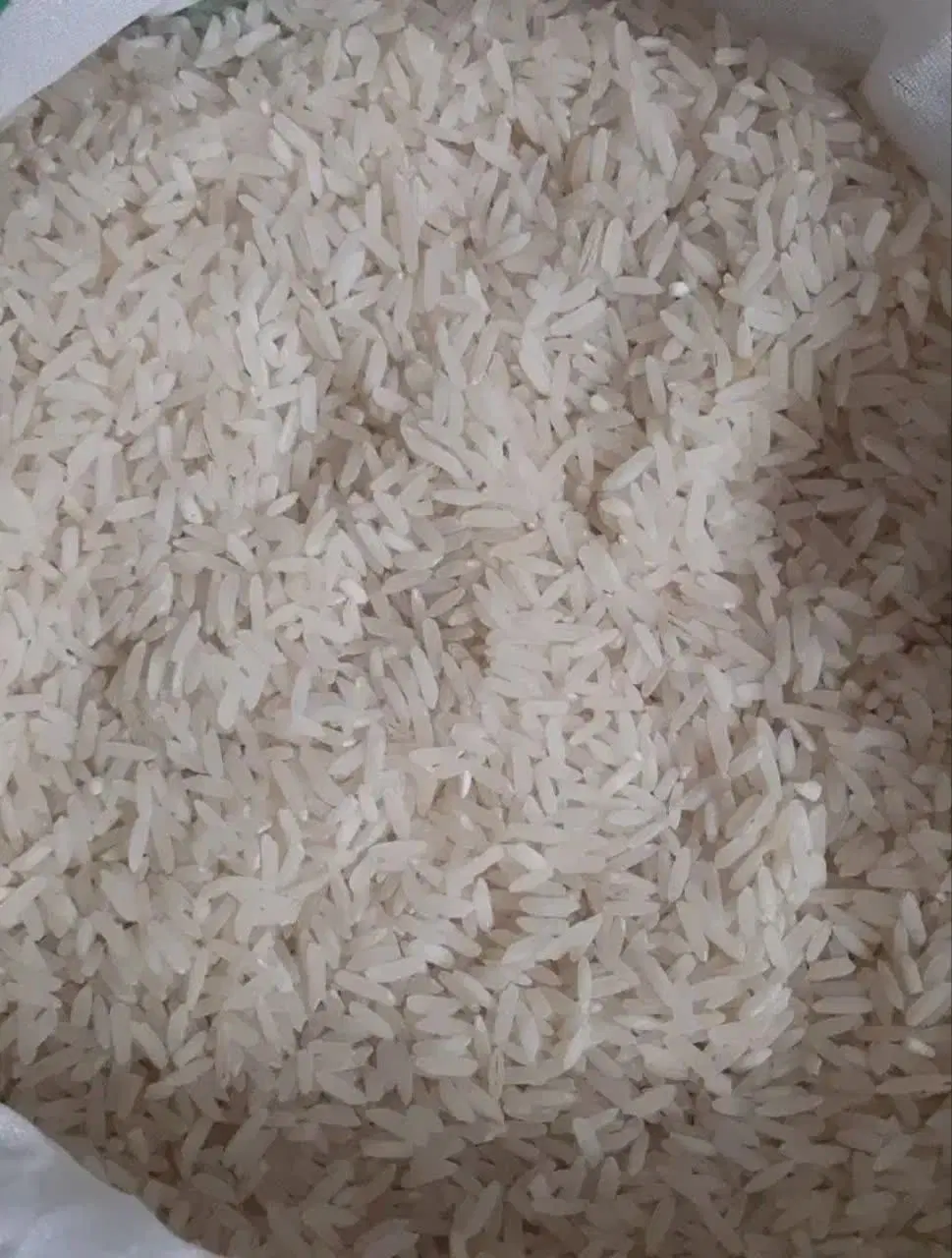 برنج فجر|خوردنی و آشامیدنی|کوهدشت, |دیوار