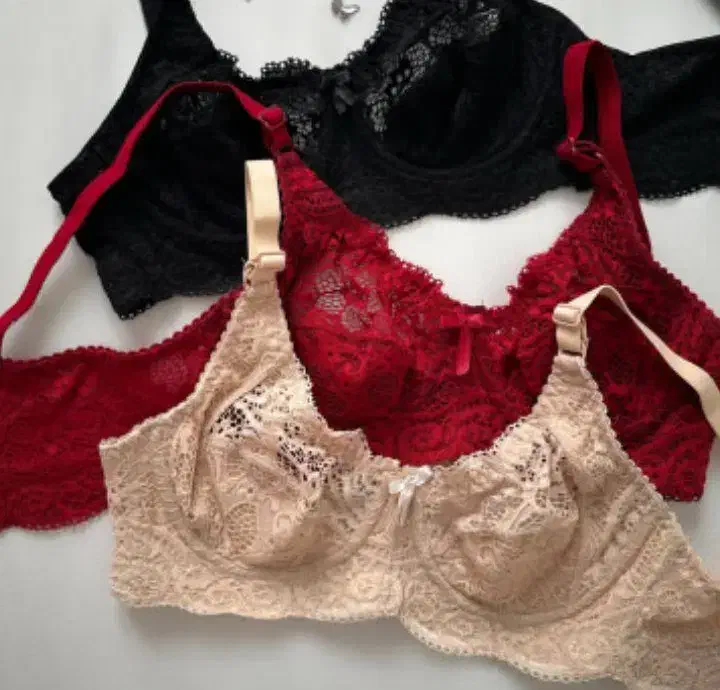 سوتین دانتل دالبری فنردار|لباس|رشت, تازه آباد|دیوار