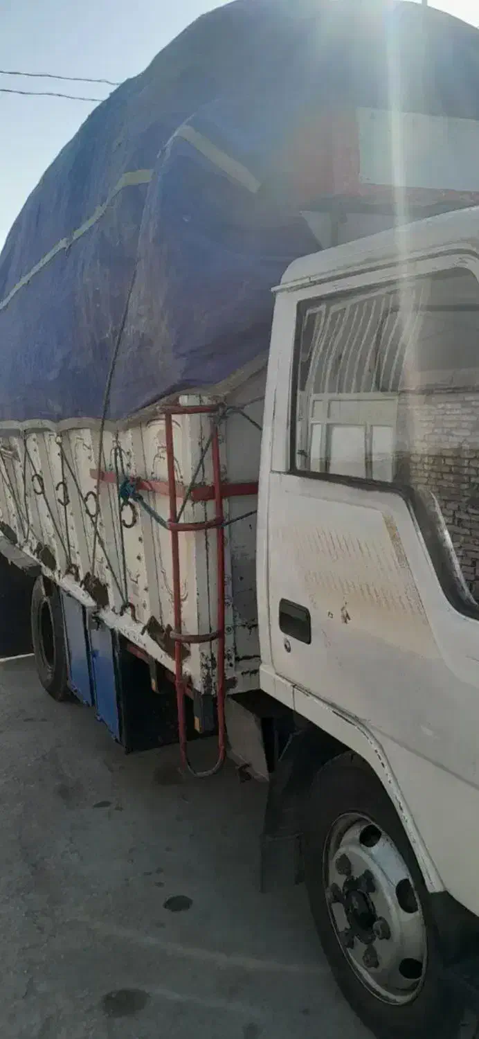 کاه نیشکر|لوازم جانبی حیوانات|بوئین زهرا, |دیوار