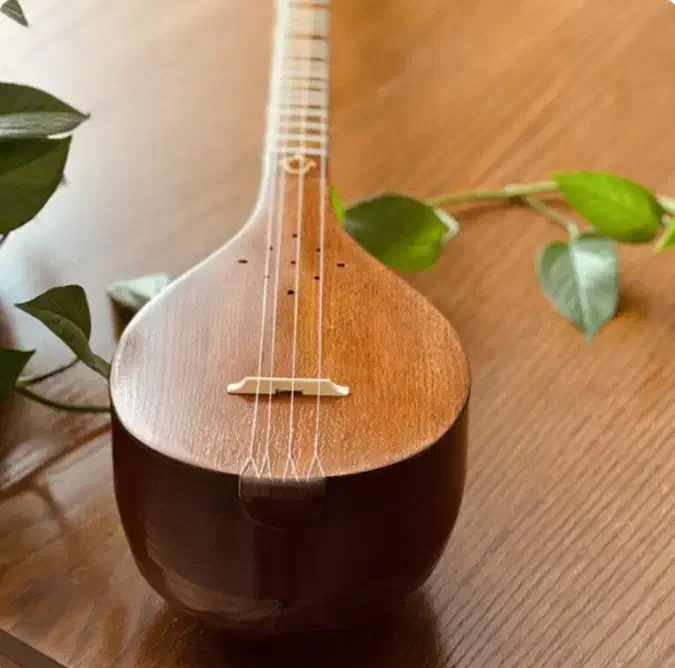 سه تار|سازهای سنتی|مرند, |دیوار