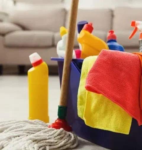 نظافت منزل|خدمات نظافت|نهبندان, |دیوار