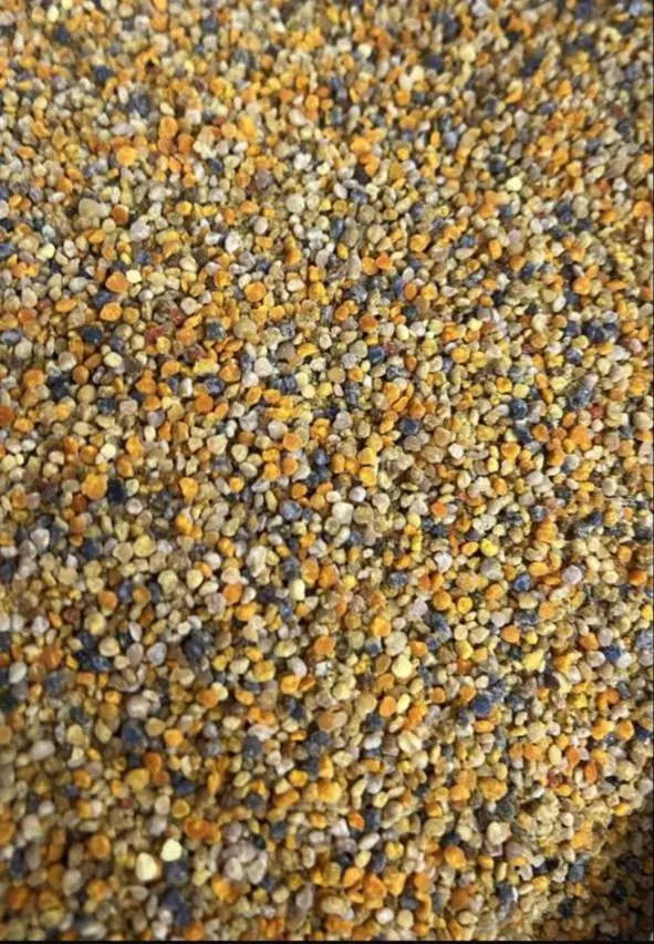 عسل|خوردنی و آشامیدنی|چادگان, |دیوار