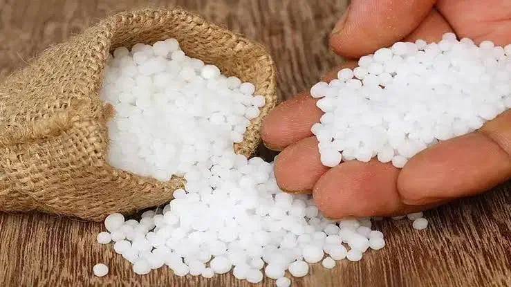 کود شیمیایی سفید|خدمات باغبانی و درختکاری|اراک, |دیوار