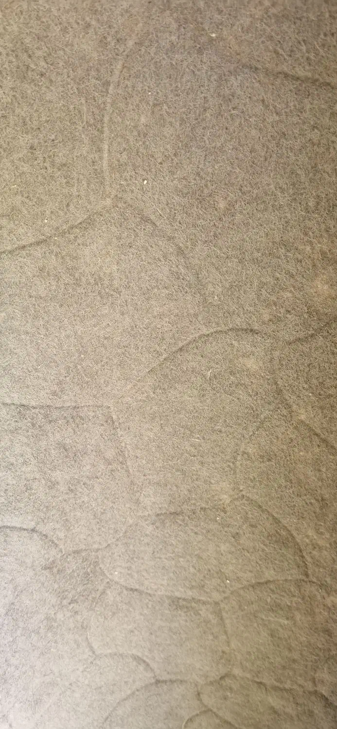 موکت ساده|موکت|بندرعباس, |دیوار