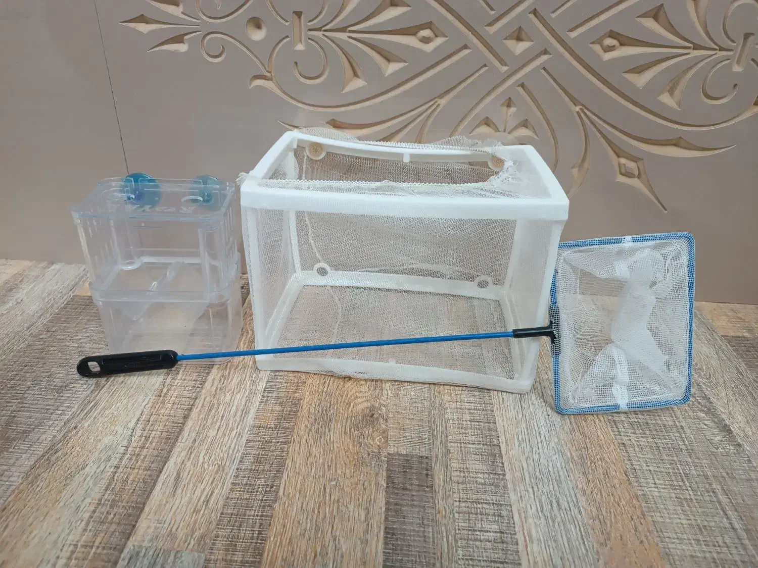 ماهی معاوظه با کفتر|ماهی|تربت جام, والفجر|دیوار