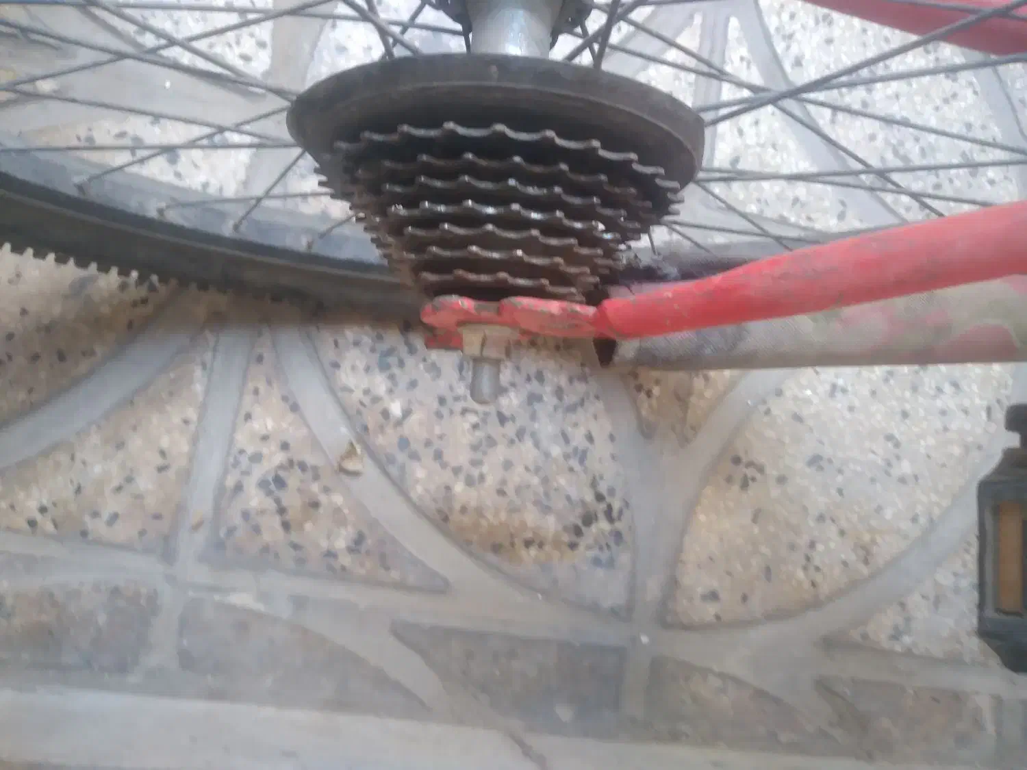 دوچرخه|دوچرخه، اسکیت، اسکوتر|مشکین‌دشت, |دیوار