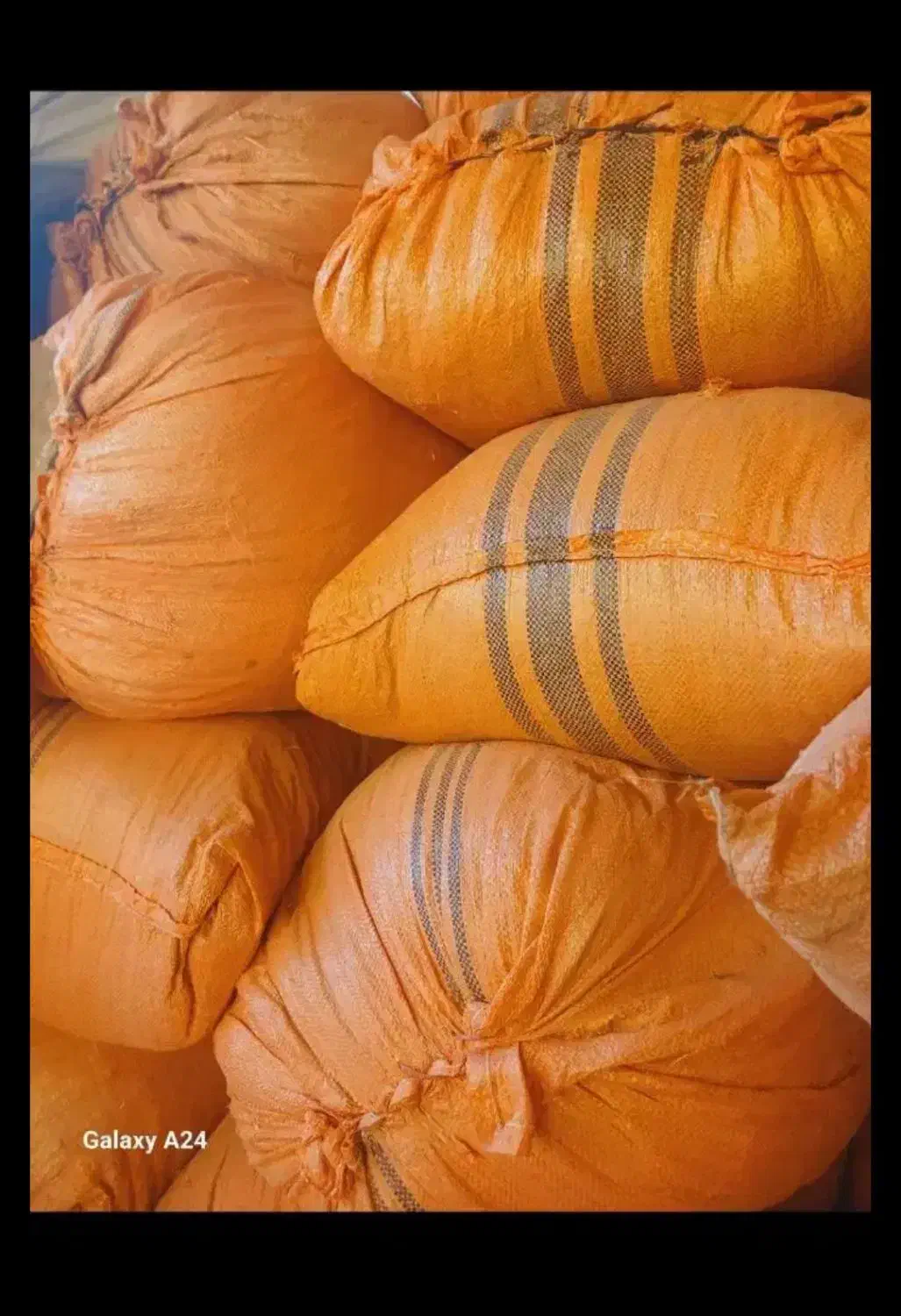 کاه جو|لوازم جانبی حیوانات|بیرانوند, |دیوار