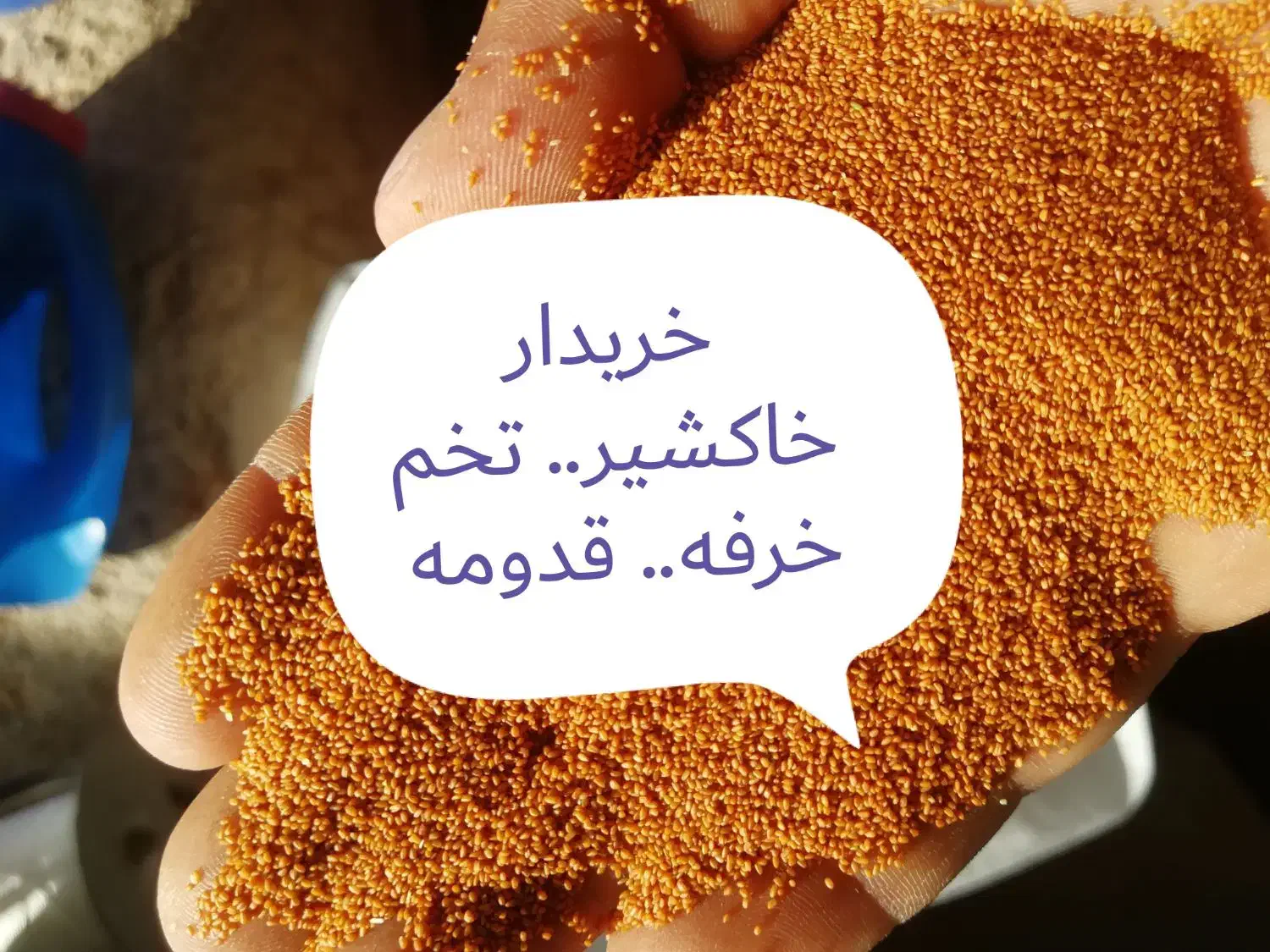 خرید و فروش  خاکشیر   قدومه  تخم خرفه  قلفه|خوردنی و آشامیدنی|مرودشت, ولایت|دیوار